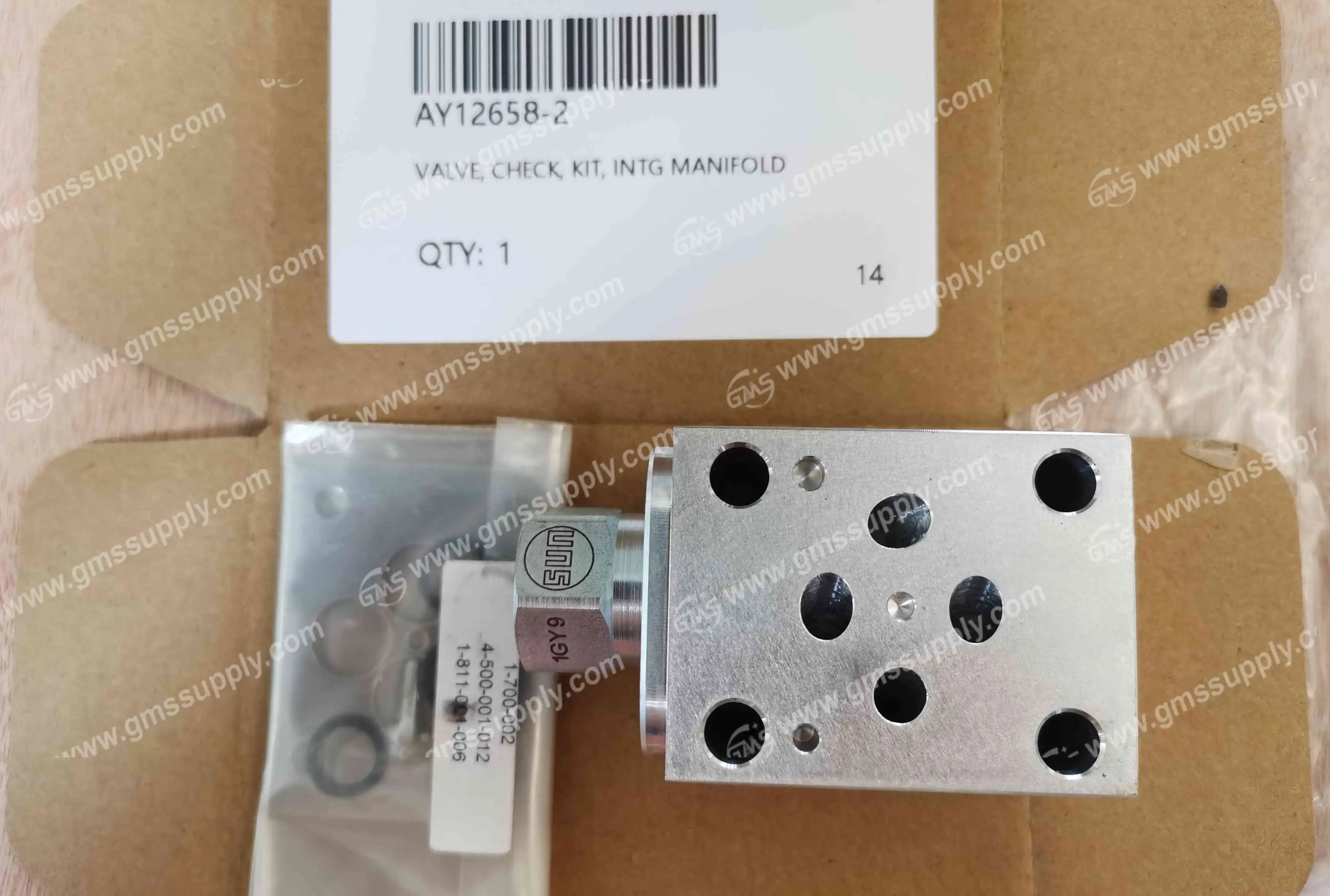 AY12658-2 valve check kit manifold_GMS