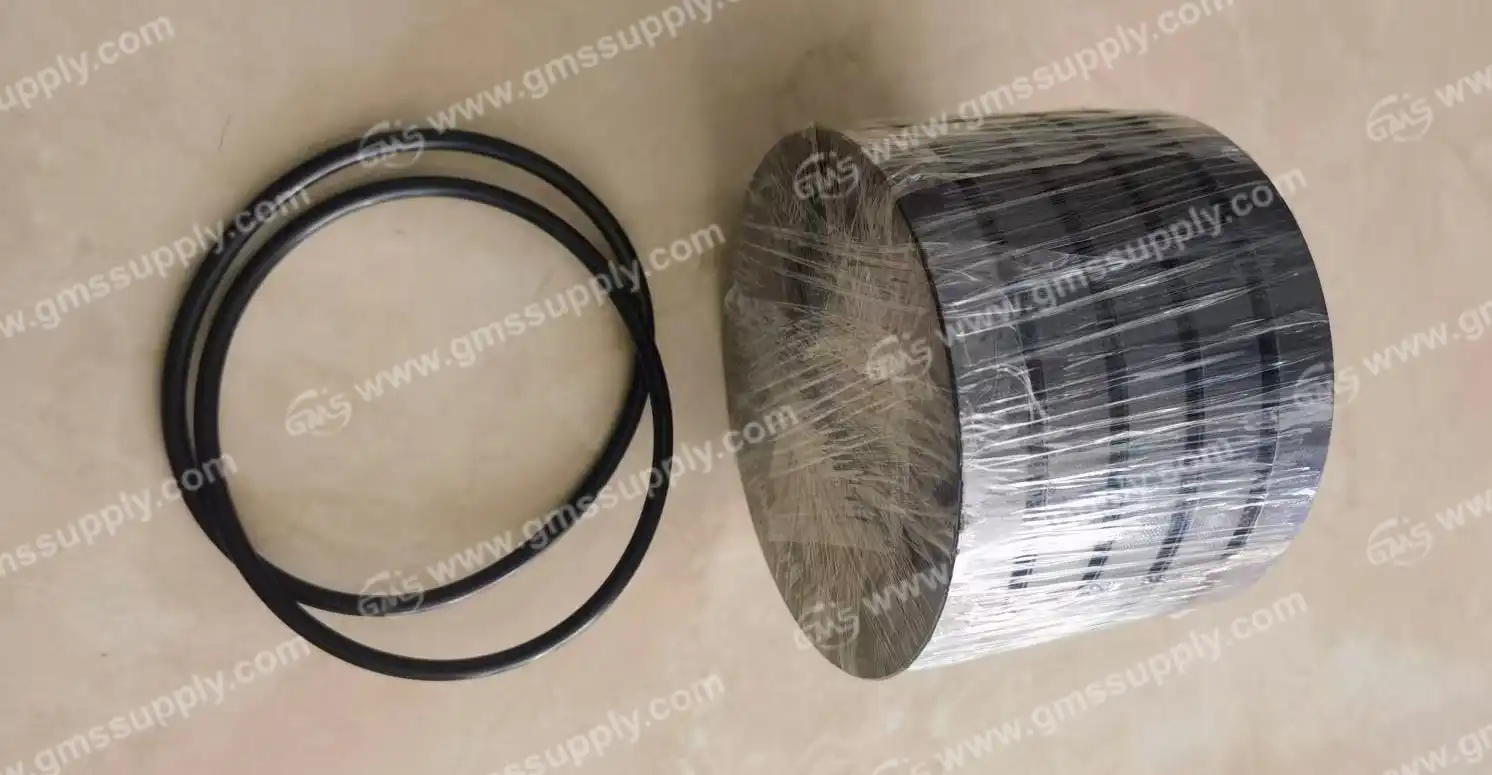 R01-1002-010 Packing Seal