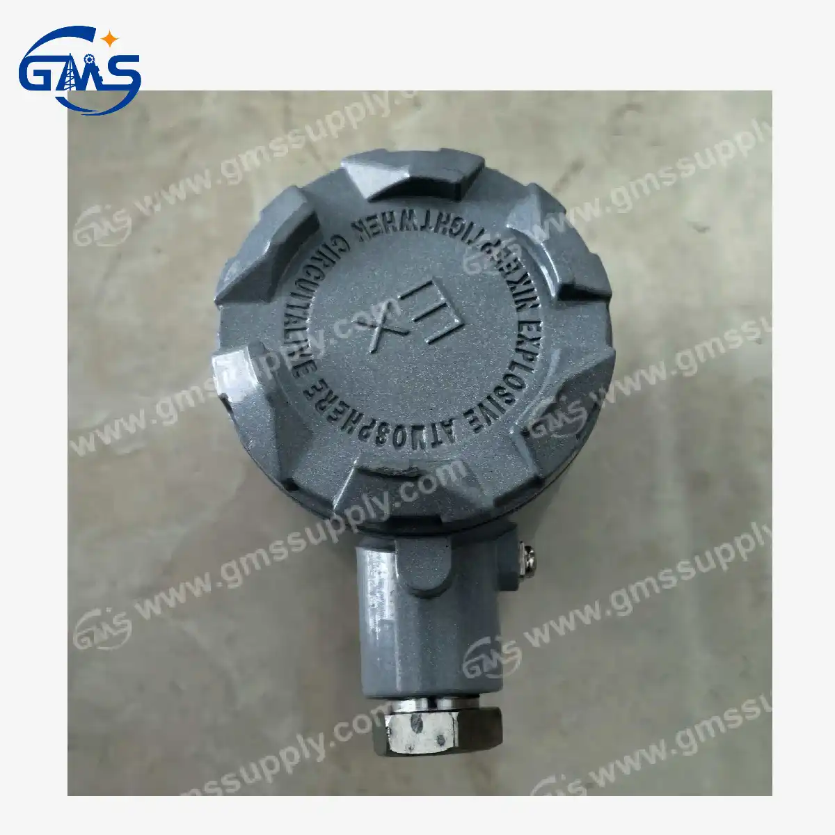 E08-1034-010 Corpo presa