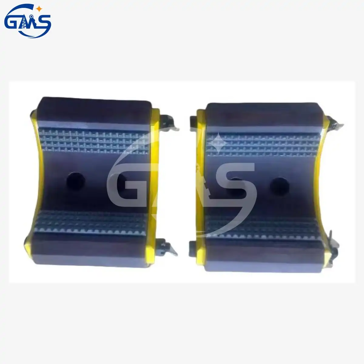 Gruppo mascella 122109