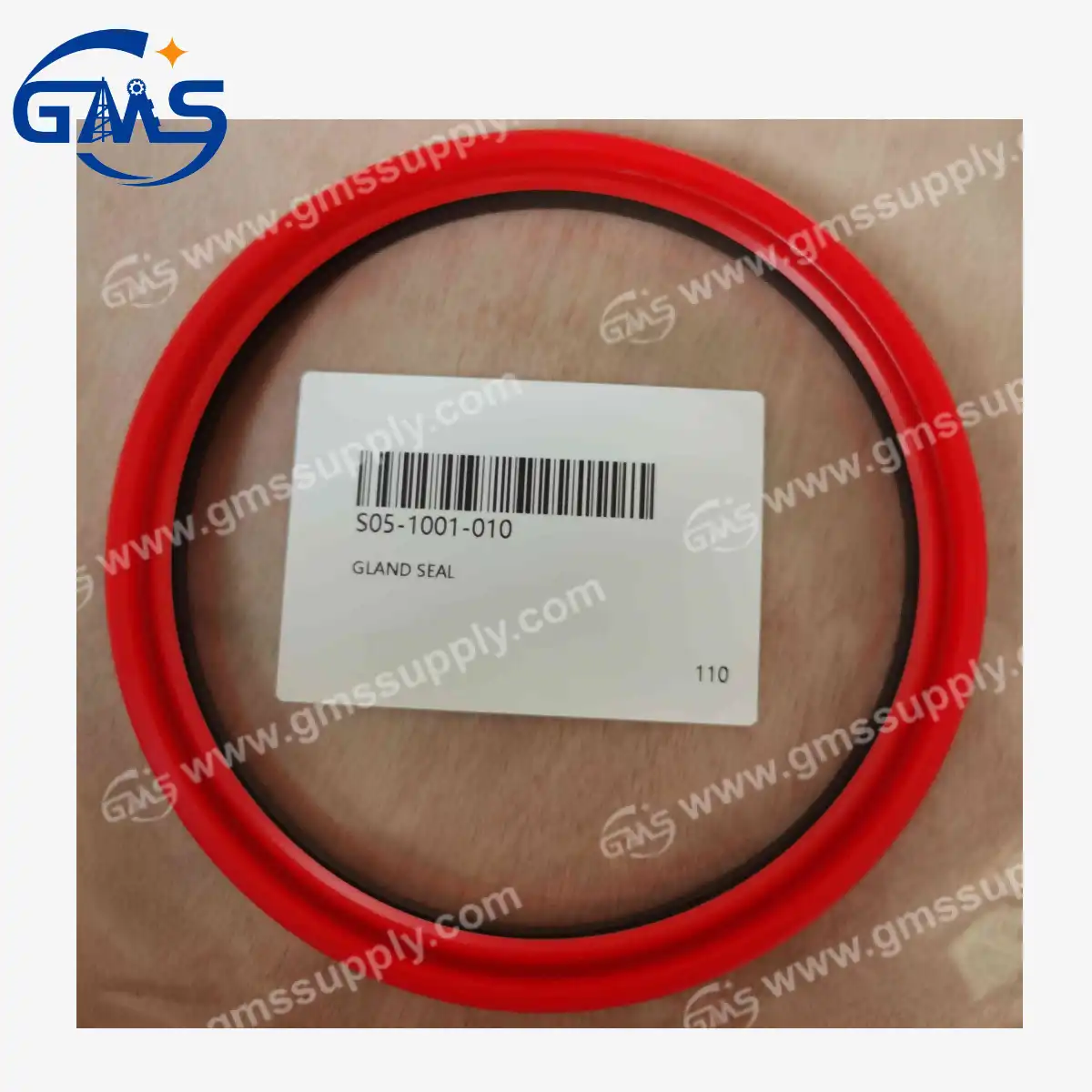 S05-1001-010 Guarnizione premistoppa